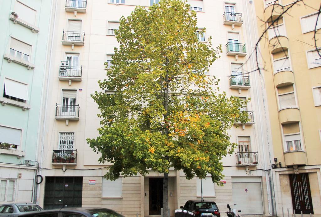 Casa Da Praceta Apartment ลิสบอน ภายนอก รูปภาพ